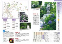 四季折々に楽しむ　鎌倉　花の散歩道